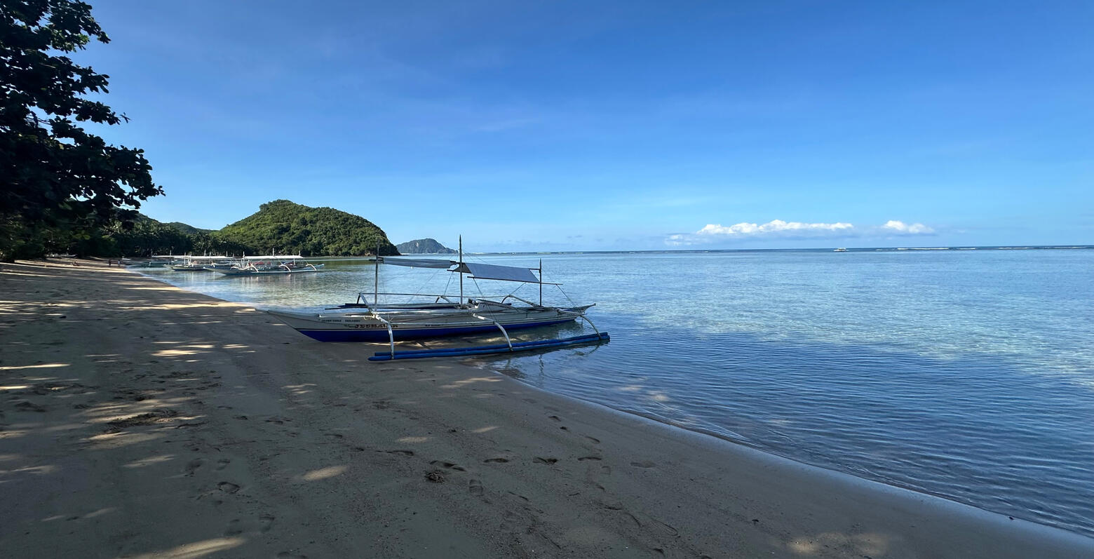 Ask Luca Philippine Travel Assistant