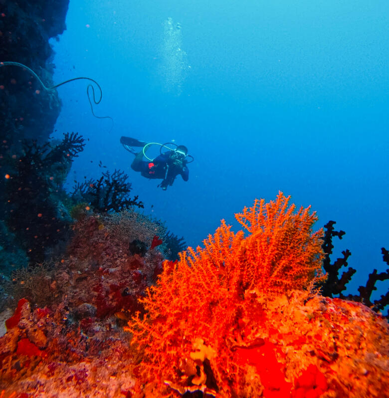 Cambaya Beach Resort. 2 Night Stay Cambaya Beach Resort. 2 Night Stay